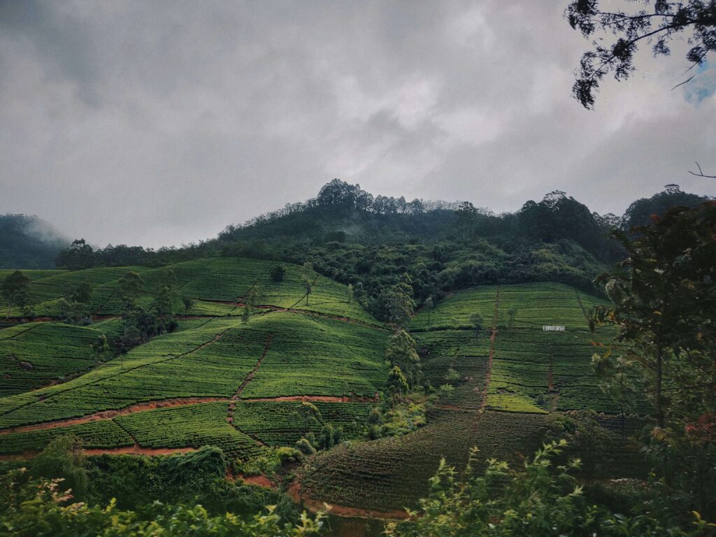 romantische-roadtrips-sri-lanka