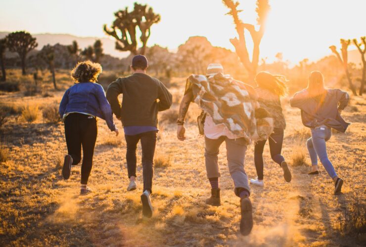 samen-reizen