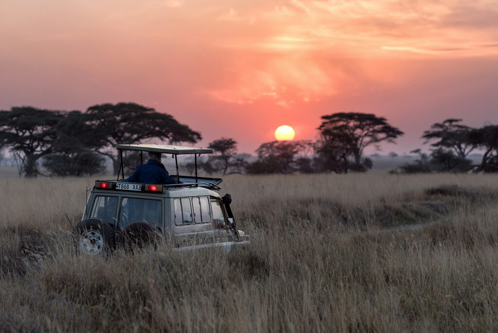 safari-afrika-vakantie