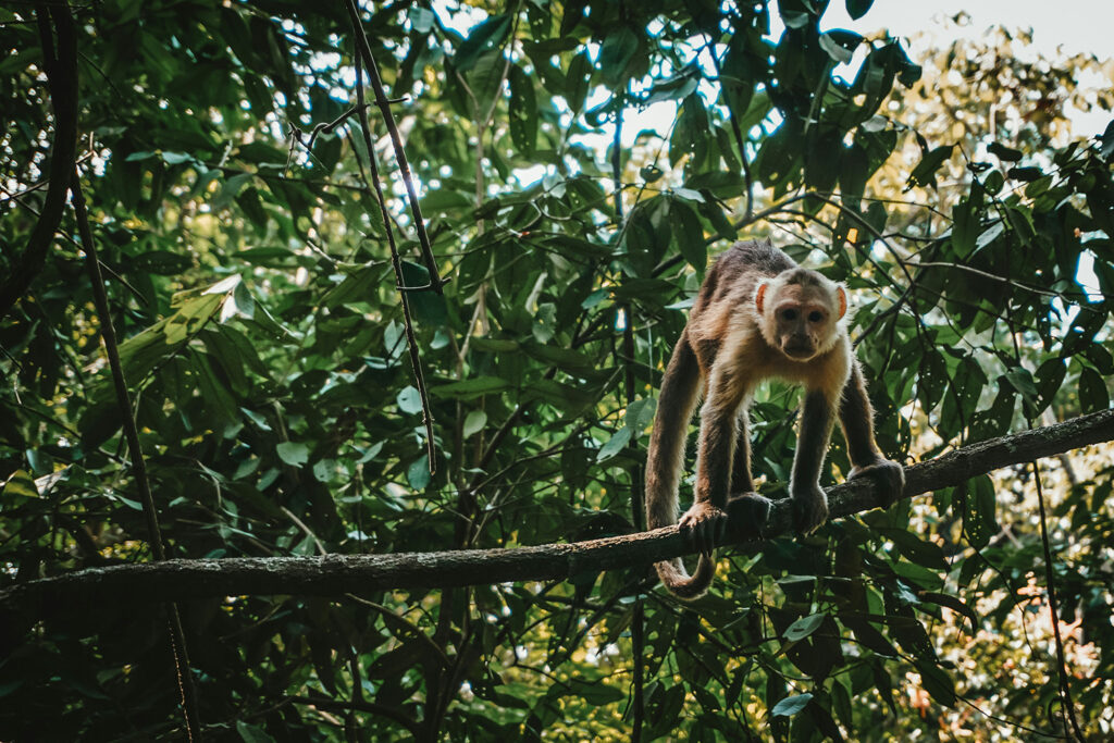 tayrona-national-park